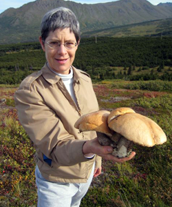 A Handful of Mushrooms
